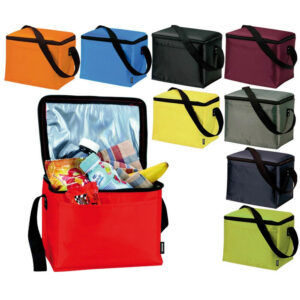 Small Insulated Cold Travel Bag